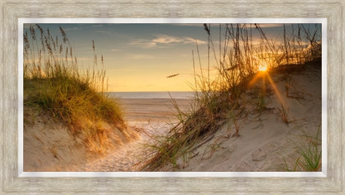 Coastal Dunes