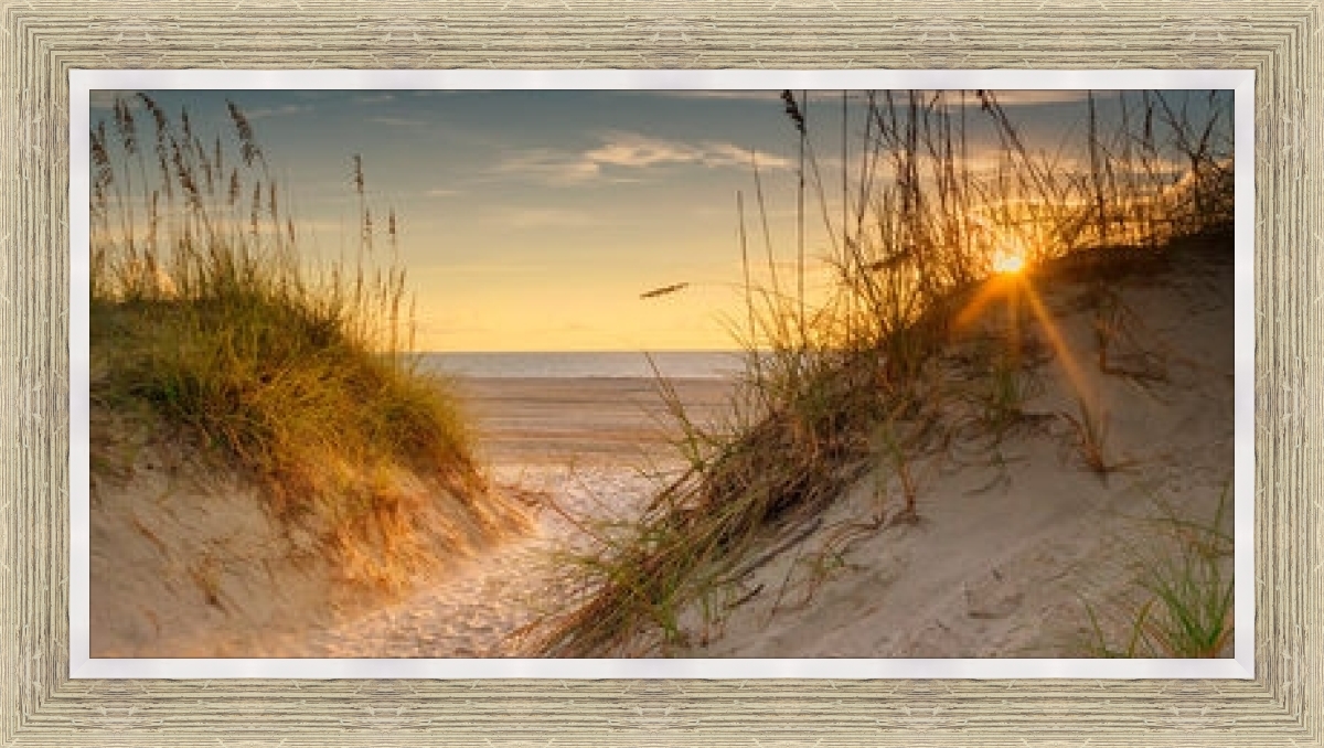 Coastal Dunes