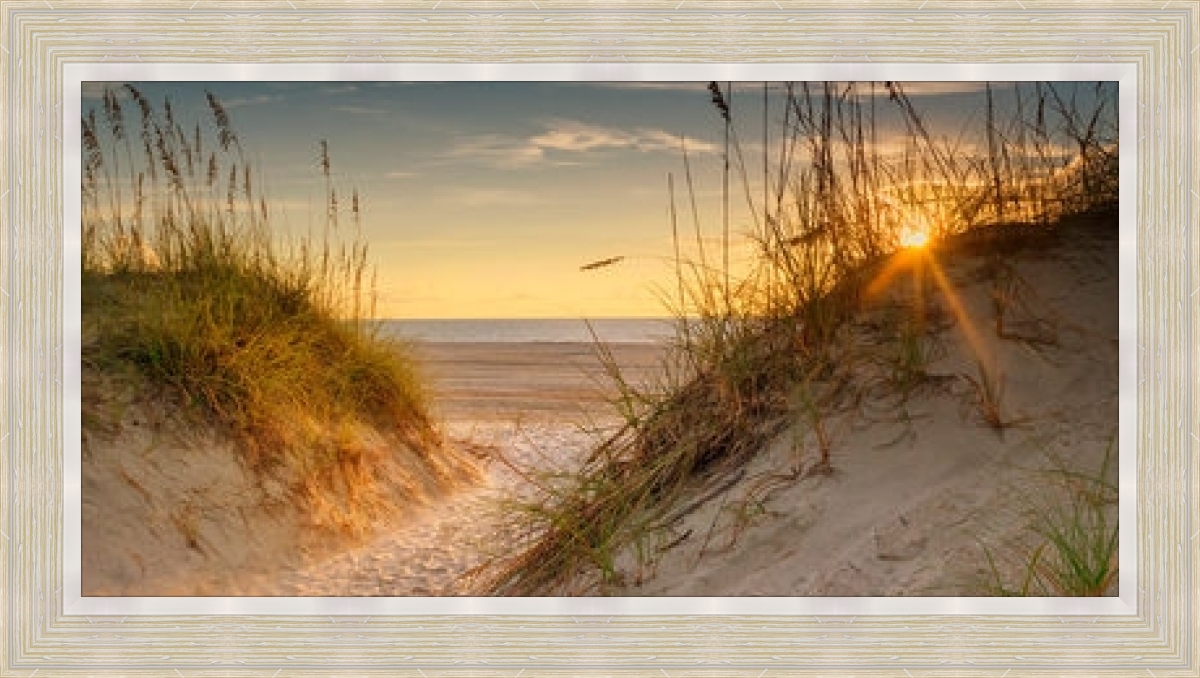 Coastal Dunes