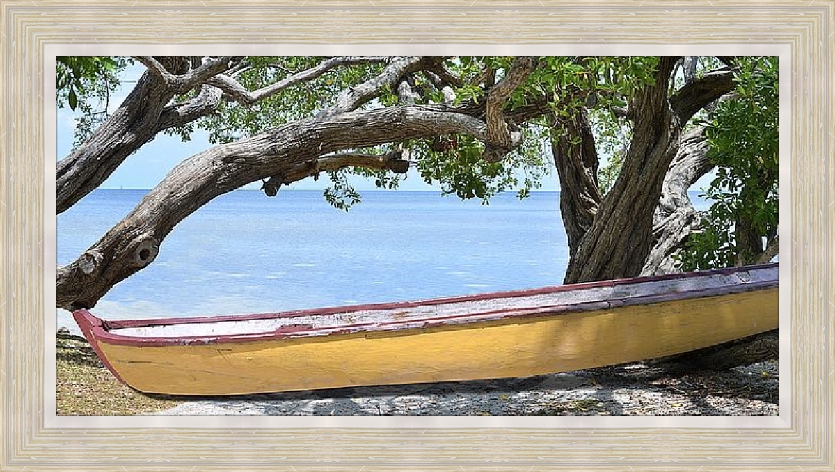 Vaughn Yellow Bird Boat